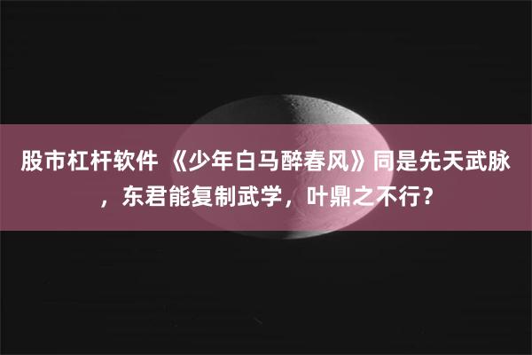 股市杠杆软件 《少年白马醉春风》同是先天武脉，东君能复制武学，叶鼎之不行？