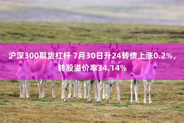 沪深300期货杠杆 7月30日升24转债上涨0.2%，转股溢价率34.14%