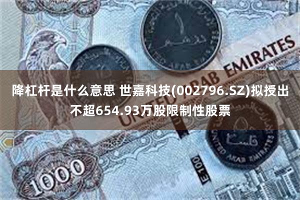 降杠杆是什么意思 世嘉科技(002796.SZ)拟授出不超654.93万股限制性股票