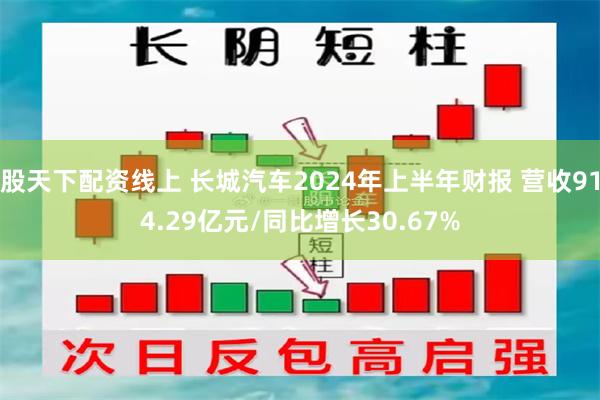 股天下配资线上 长城汽车2024年上半年财报 营收914.29亿元/同比增长30.67%