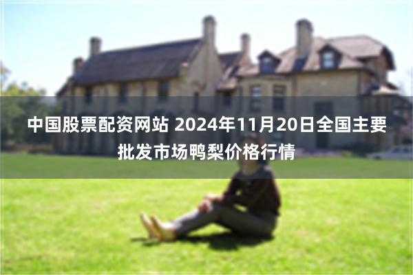 中国股票配资网站 2024年11月20日全国主要批发市场鸭梨价格行情