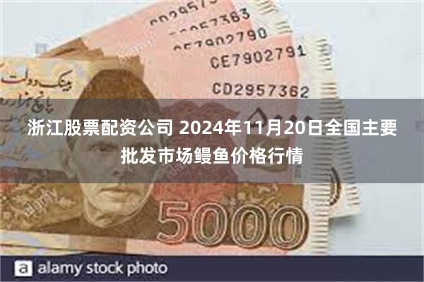 浙江股票配资公司 2024年11月20日全国主要批发市场鳗鱼价格行情