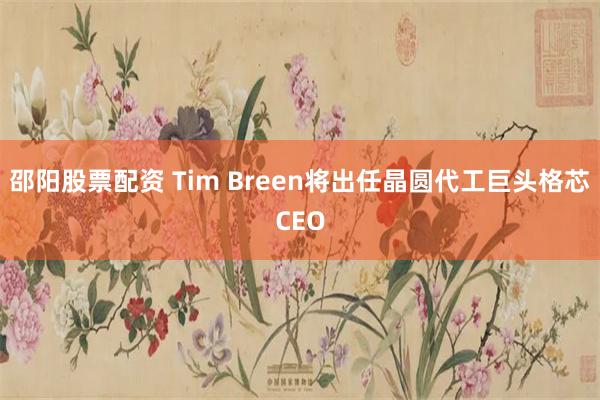 邵阳股票配资 Tim Breen将出任晶圆代工巨头格芯CEO