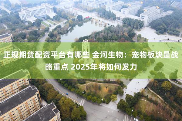 正规期货配资平台有哪些 金河生物：宠物板块是战略重点 2025年将如何发力