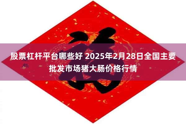 股票杠杆平台哪些好 2025年2月28日全国主要批发市场猪大肠价格行情