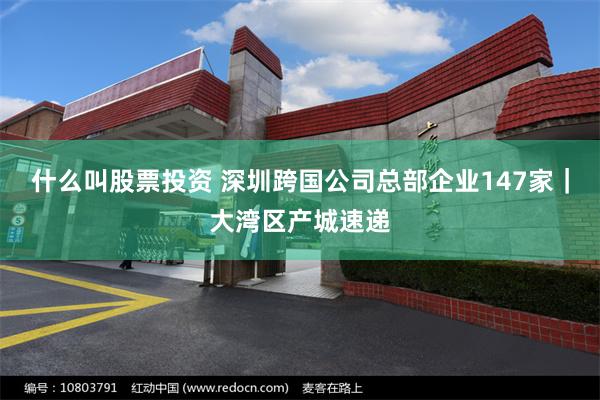 什么叫股票投资 深圳跨国公司总部企业147家｜大湾区产城速递